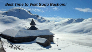 Best Time to Visit Gada Gushaini