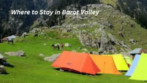 Where to Stay in Barot Valley
