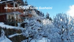 Where to Stay in Gada Gushaini