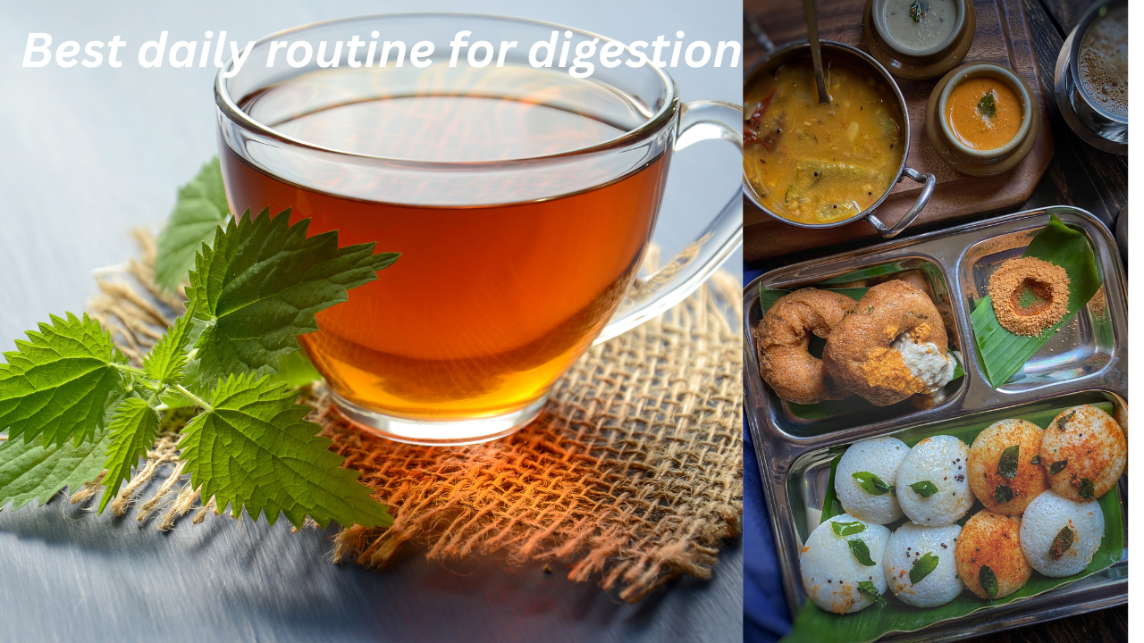 Best daily routine for digestion