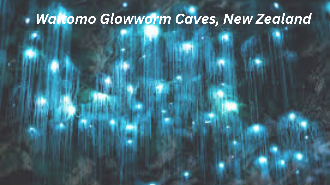 Waitomo Glowworm Caves, New Zealand